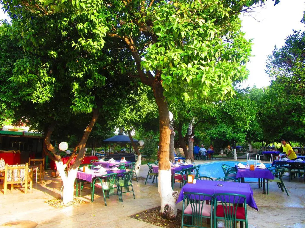 Blue Sea Garden