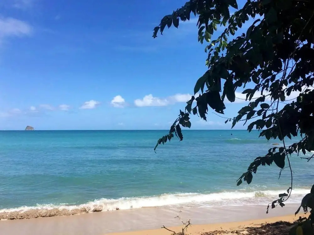 House With one Bedroom in Sainte-rose, With Furnished Garden and Wifi - 10 km From the Beach