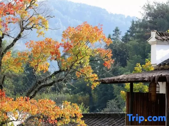Huangling shiguangtingyuanyihaoyuanHostel