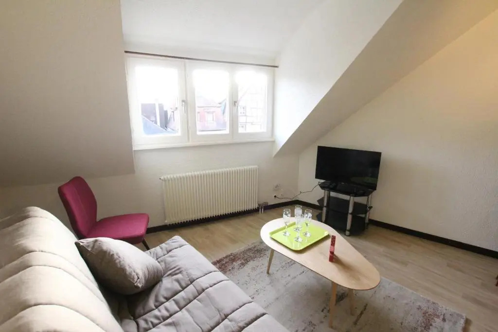Colmar Historic Center - Cosy Appartement TURENNE 2 - BookingAlsace