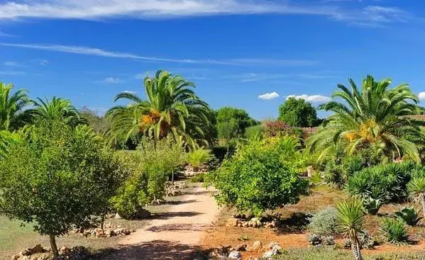 Finca Can Repos