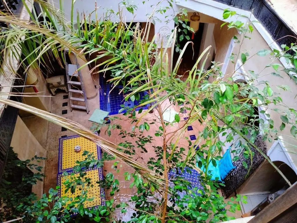Riad Sabbah