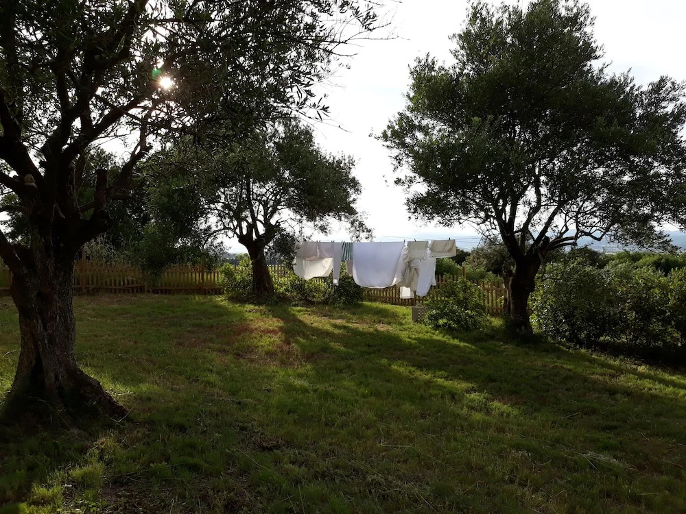 ELAIA location