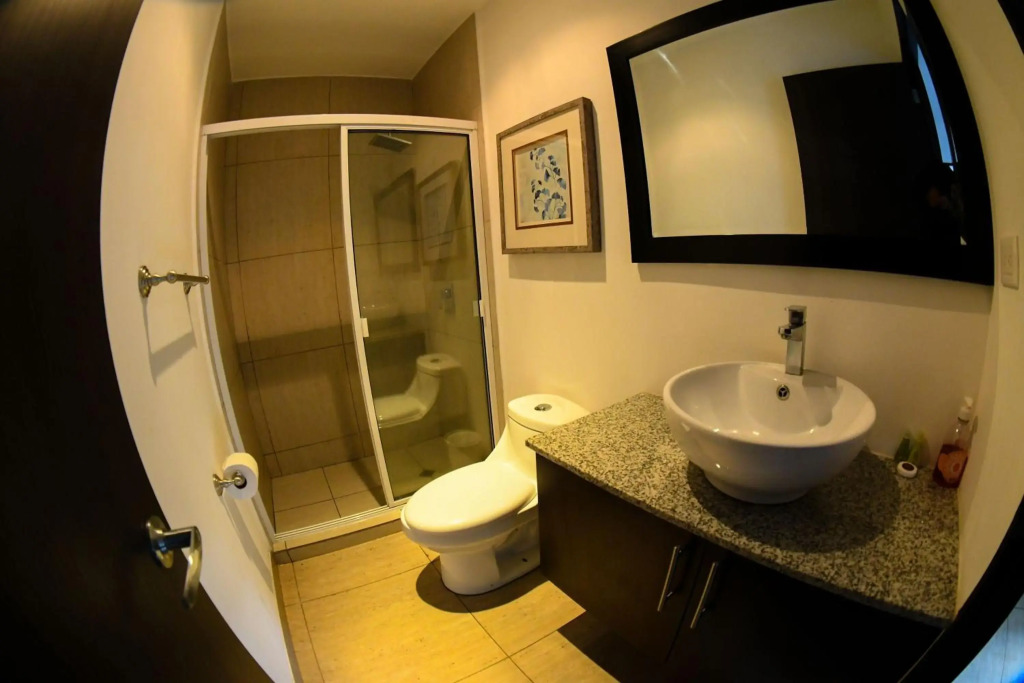 The Luxury Apartment
