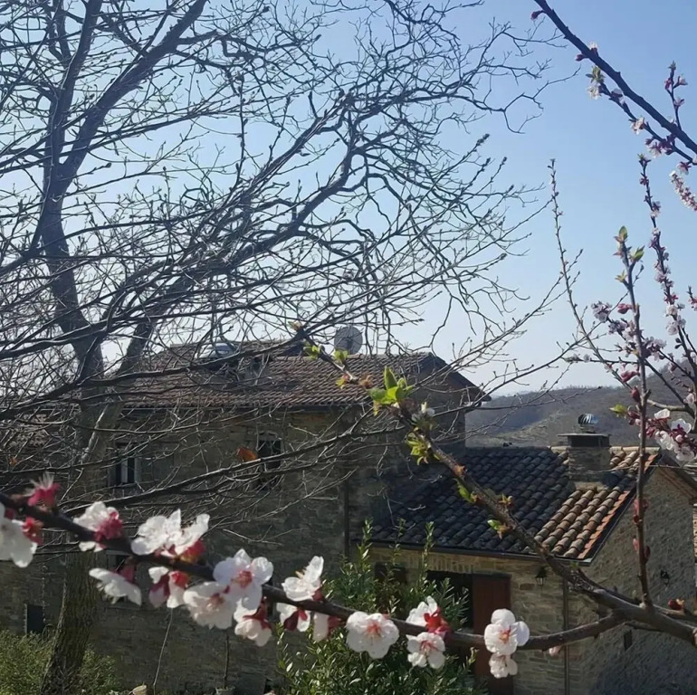 Il Cantuccio - Borgo con piscina privata