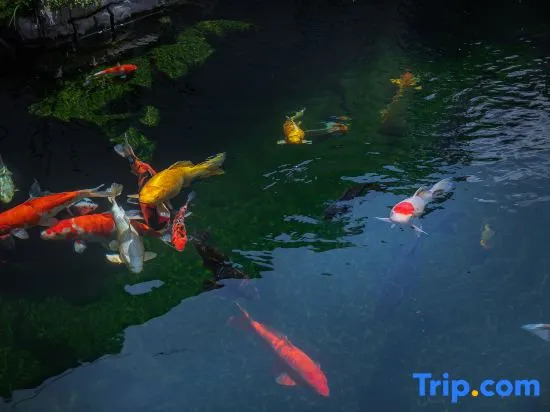 Facing the Mountain for Residence | Anji Zhuxi Mountain Wild Drift Dock Homestay
