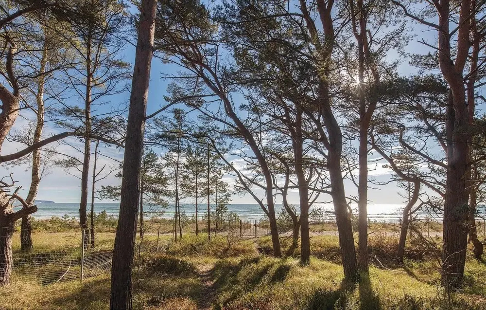Prora Solitaire Cloud