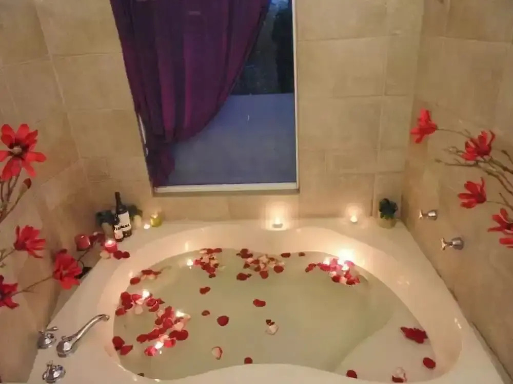 Satya Suites & Portal San Angel Flats