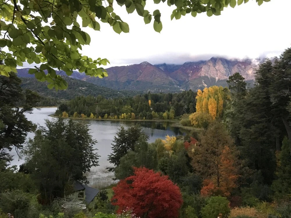 Bellevue