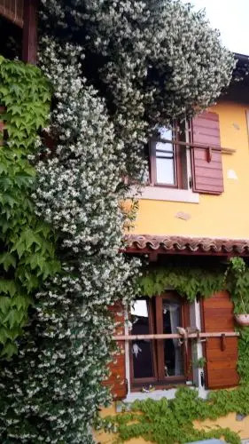 Rozina Vacation House