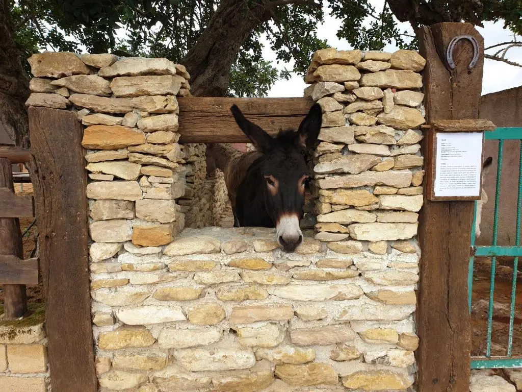 Agriturismo Duca di San Martino