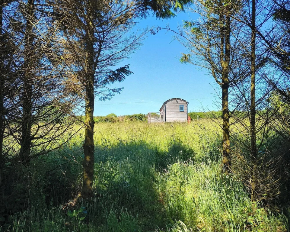 Fir Tree Shepherd's Hut
