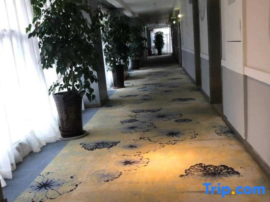 Xingpin Art Hotel (Chengdu South Railway Station)