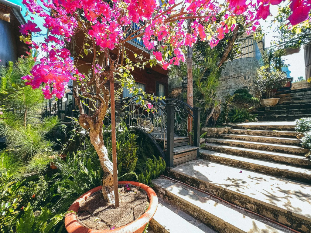 BAZAN HOME - Hotel & Bungalow