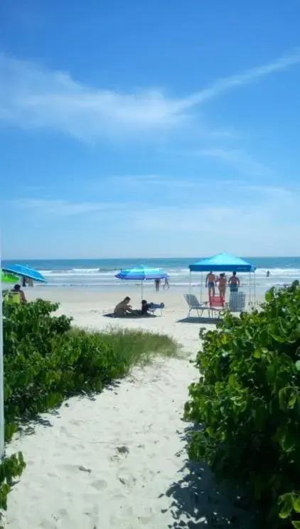 Apartamento Confortável Pé na Areia