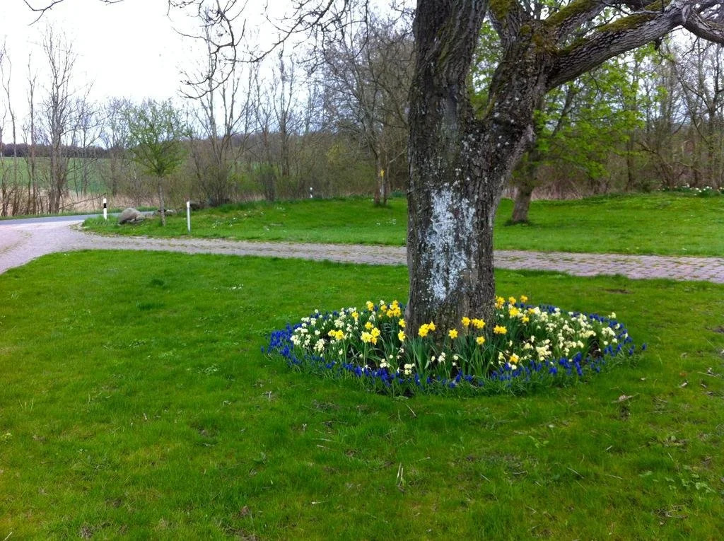 Gutshaus Ketelshagen