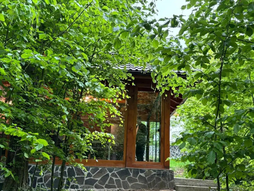 Pintea Chalet