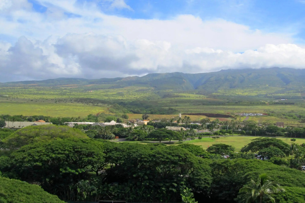 Mahana 803 in Lahaina