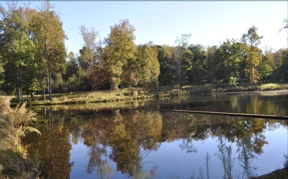 Ellerbe Springs