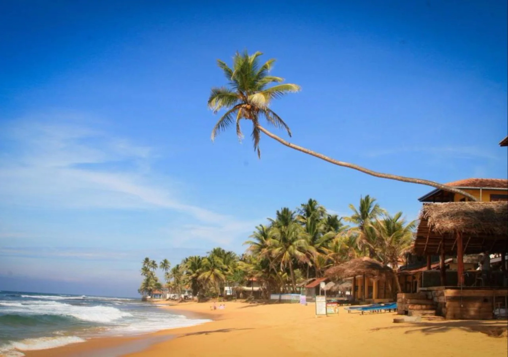 Green Edge Villa