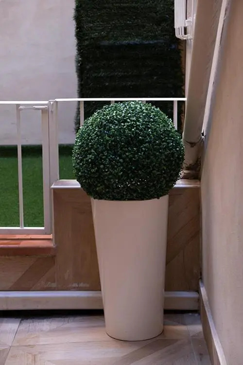 PROVENZALE CASA