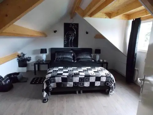 B & B Noetsele