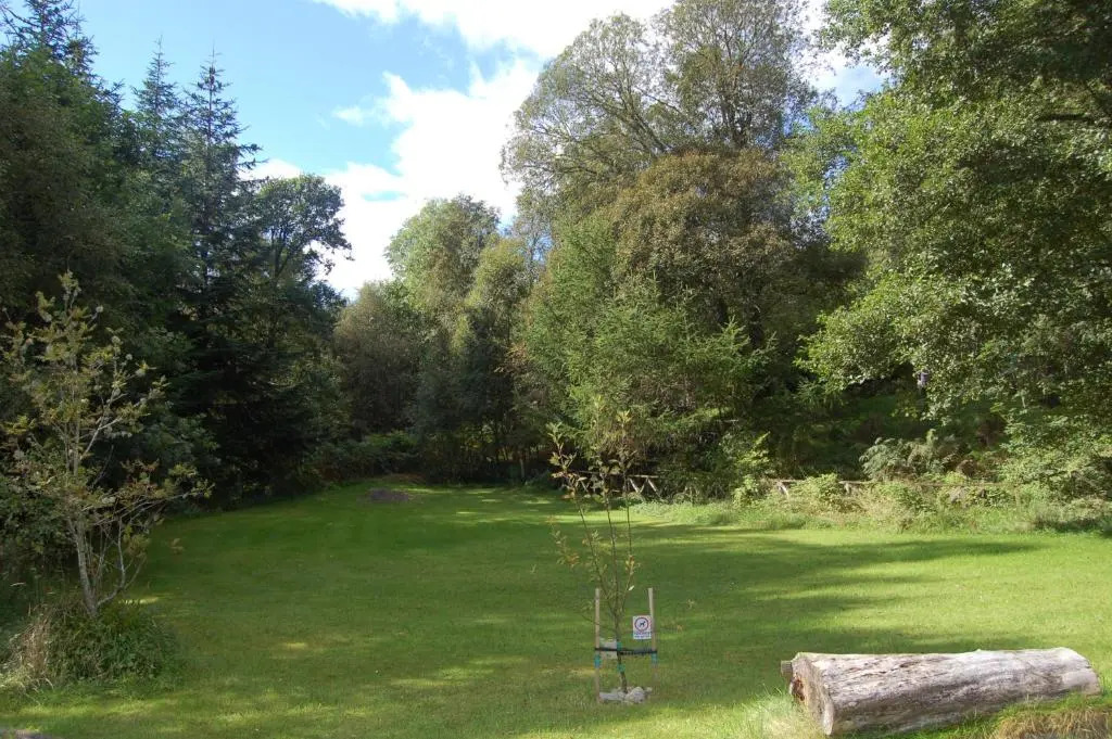 Woodland Pine Lodge