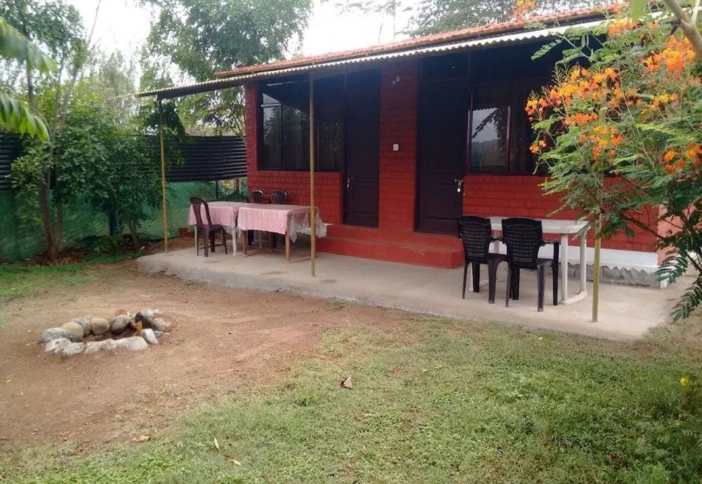 The Big Cat Den Resort