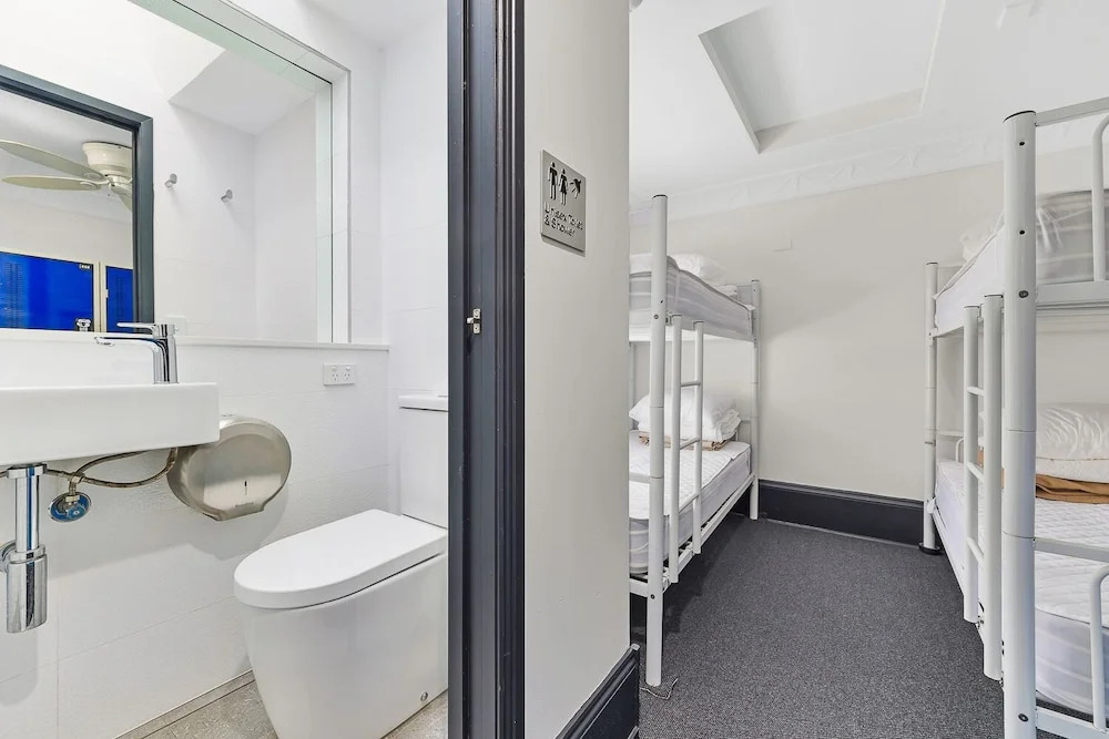 London Plane Backpackers