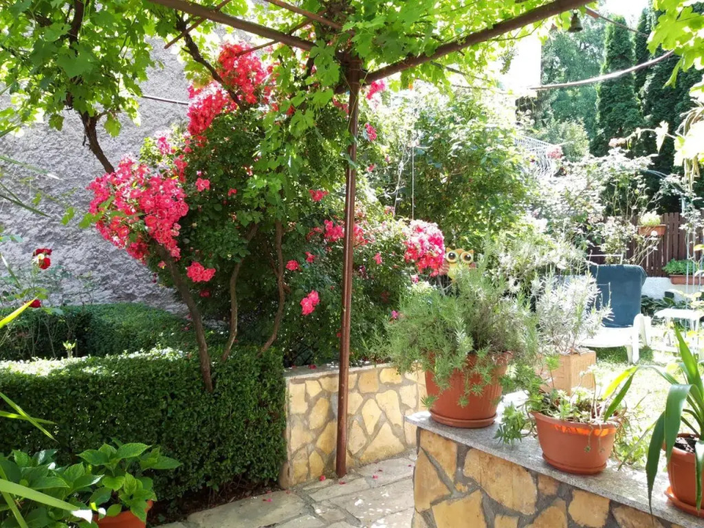 Modern&Cozy Bosnian house with GARDEN+FREE parking