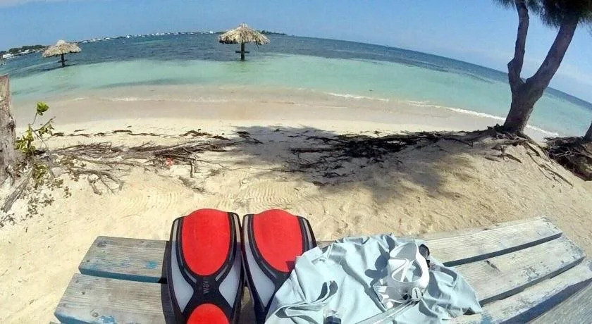The Venue - Utila