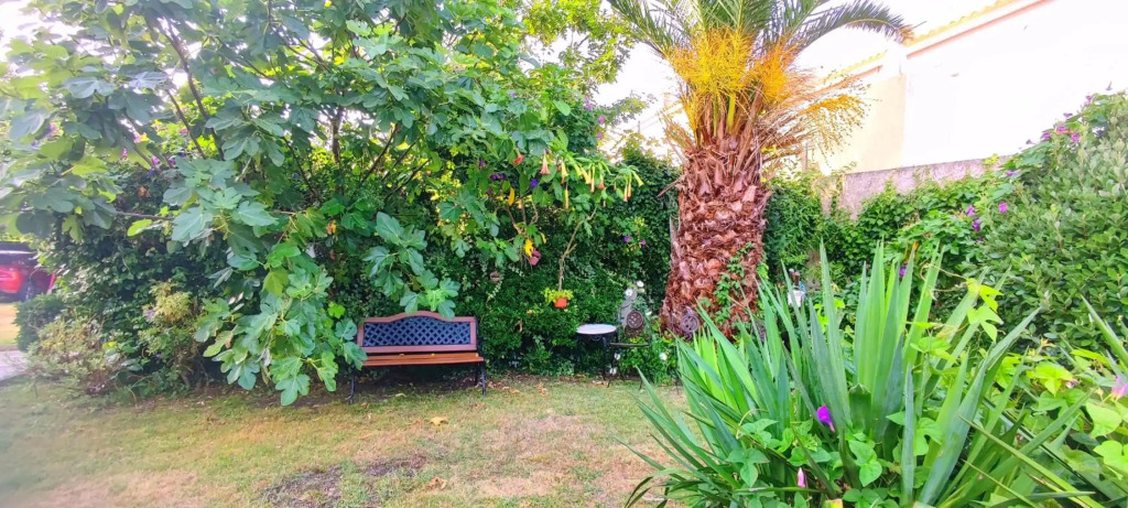 Apartamentos Vistalegre con jardín tranquilos cerca del mar