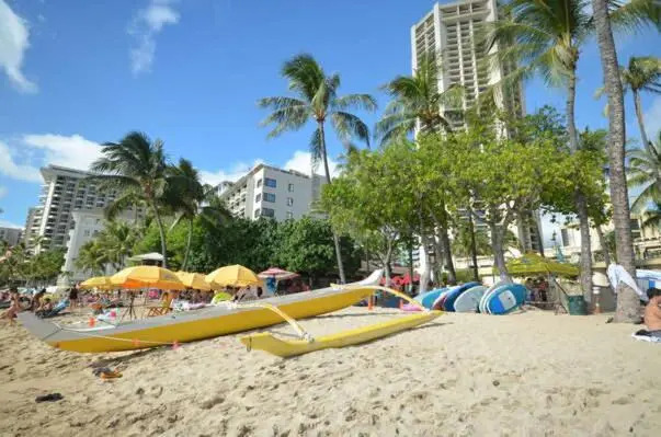 Kuhio Village 802A Cozy Studio with Ocean View!