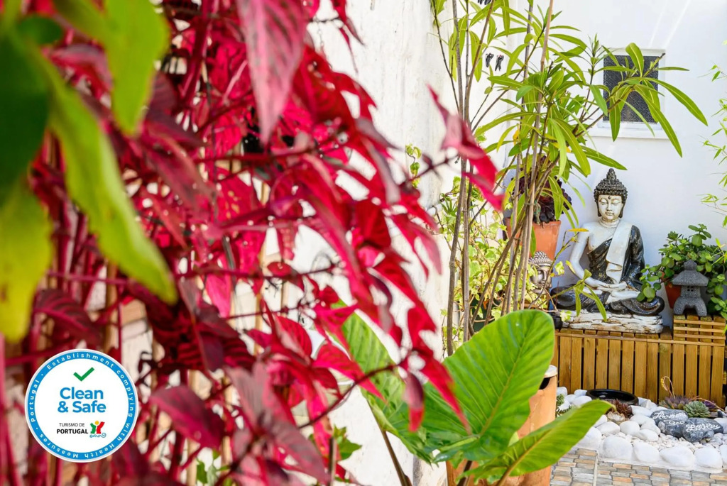 Terrace Matosinhos House
