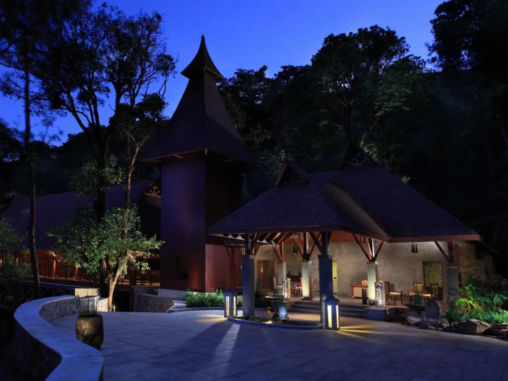 The Tamara Coorg