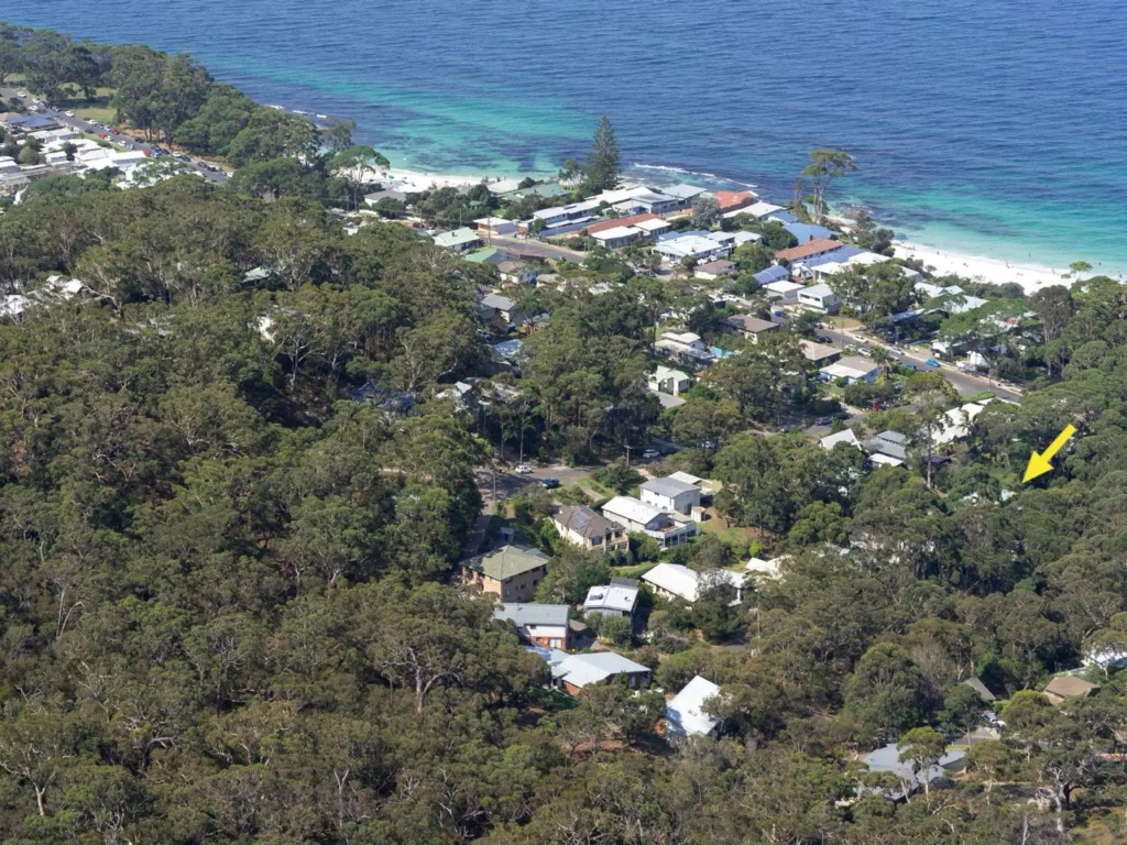 Black Wattle at Hyams Beach