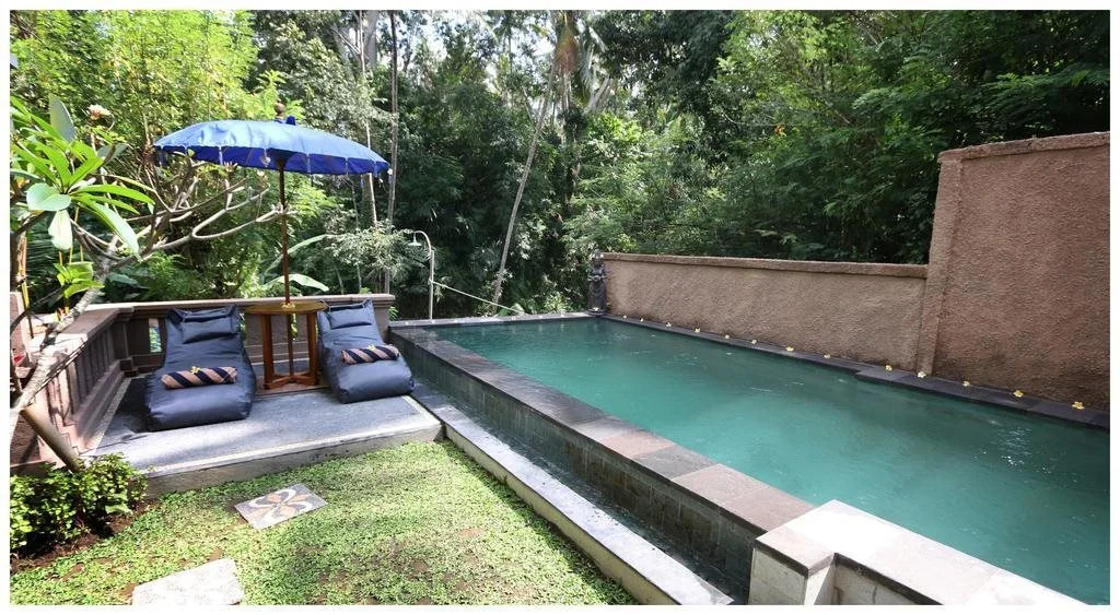 Ubud Harmony Private Villa and Pool