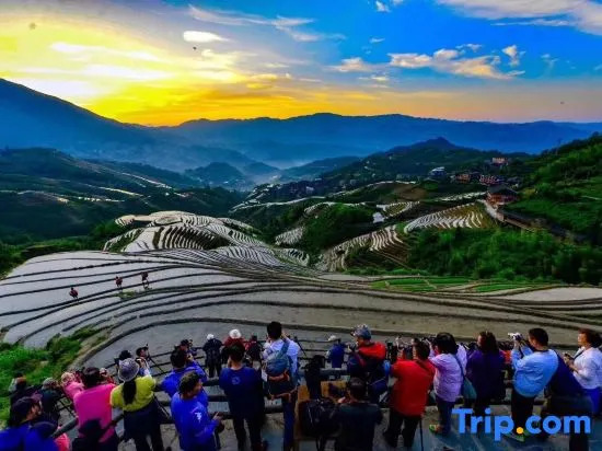 Ziyun·Sunrise Mountain House (Longji Terraces Jinkeng Observation Deck)