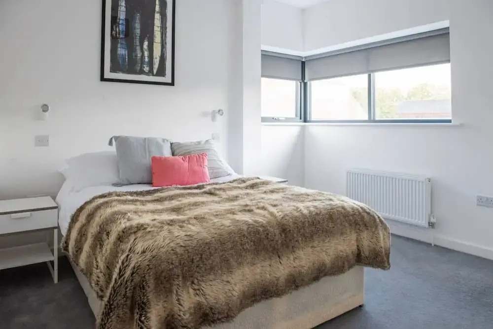 Modern 2 Bedroom Clapham Apartment With Large Terrace