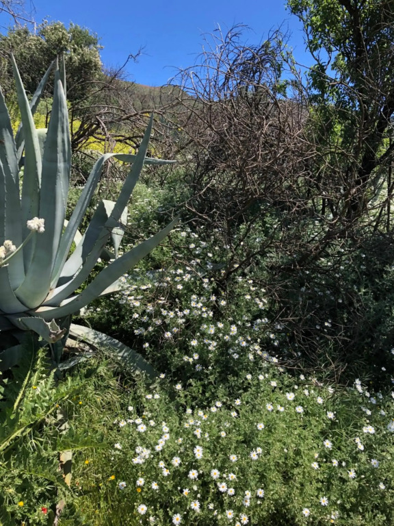 Tejeda Parque Rural el Nublo