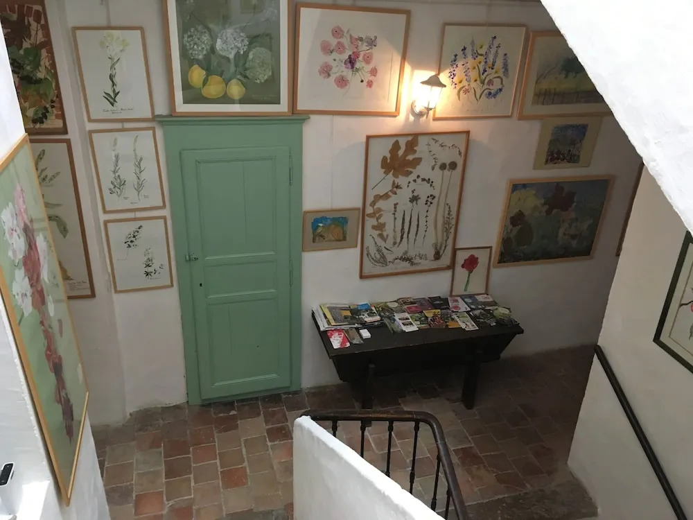 Les Asphodèles Amélie