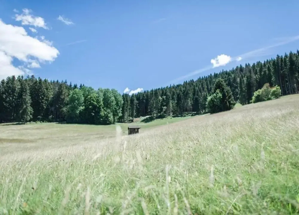 Ferienwohnung im Schwarzwald mit Garten