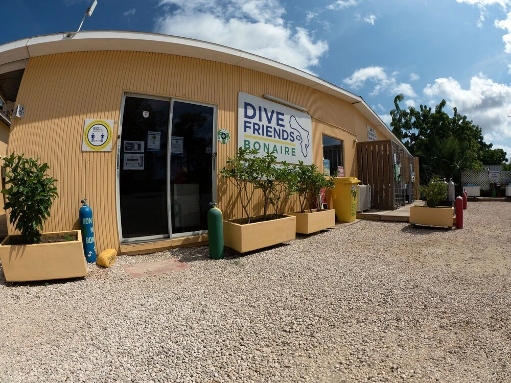 Sand Dollar Bonaire