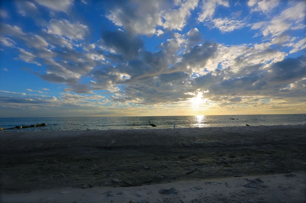 Shoreline Island Resort