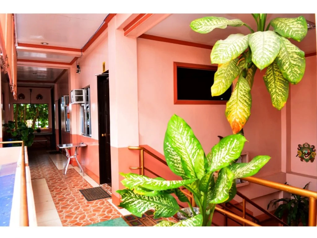 Have Pension Hauz