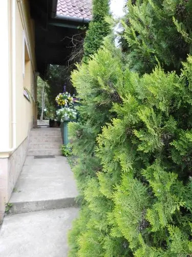 Kisház Apartman
