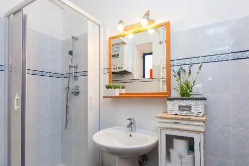 Boutique Domus Navona Librari