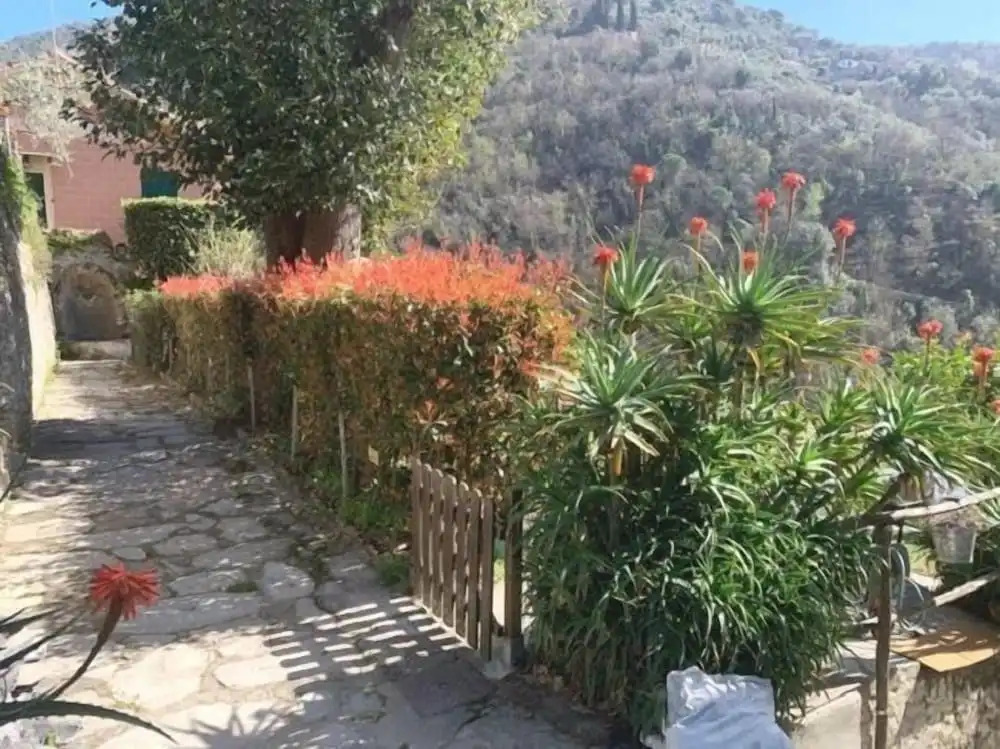 Villa Amalia