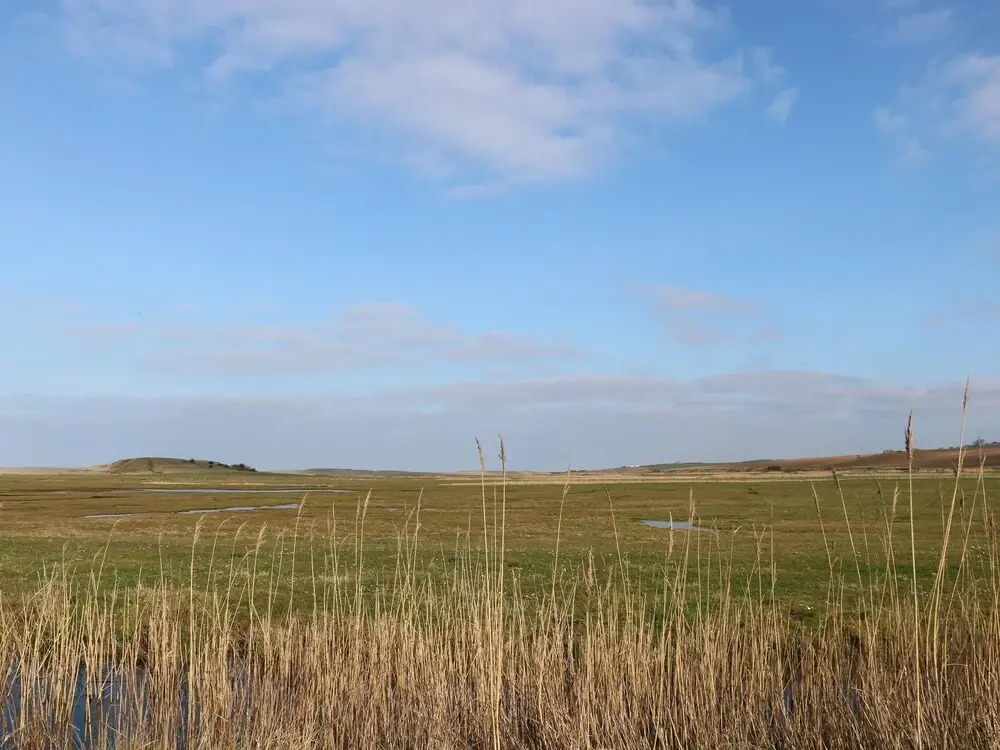 Seaview Cottage