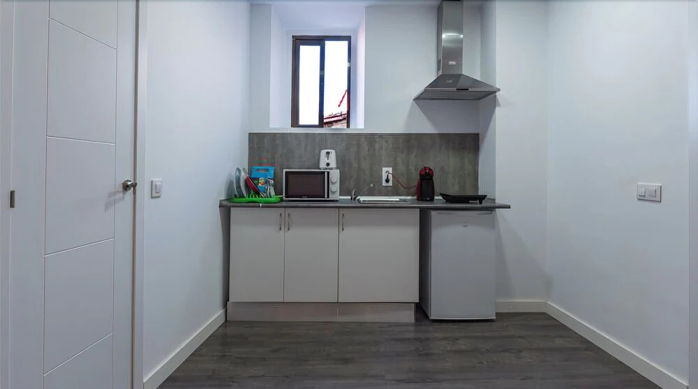 Apartamentos Turísticos Domus Seleqtia Plaza Mayor